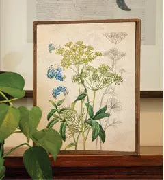 Forget-Me-Nots and Dill Botanical Box Sign