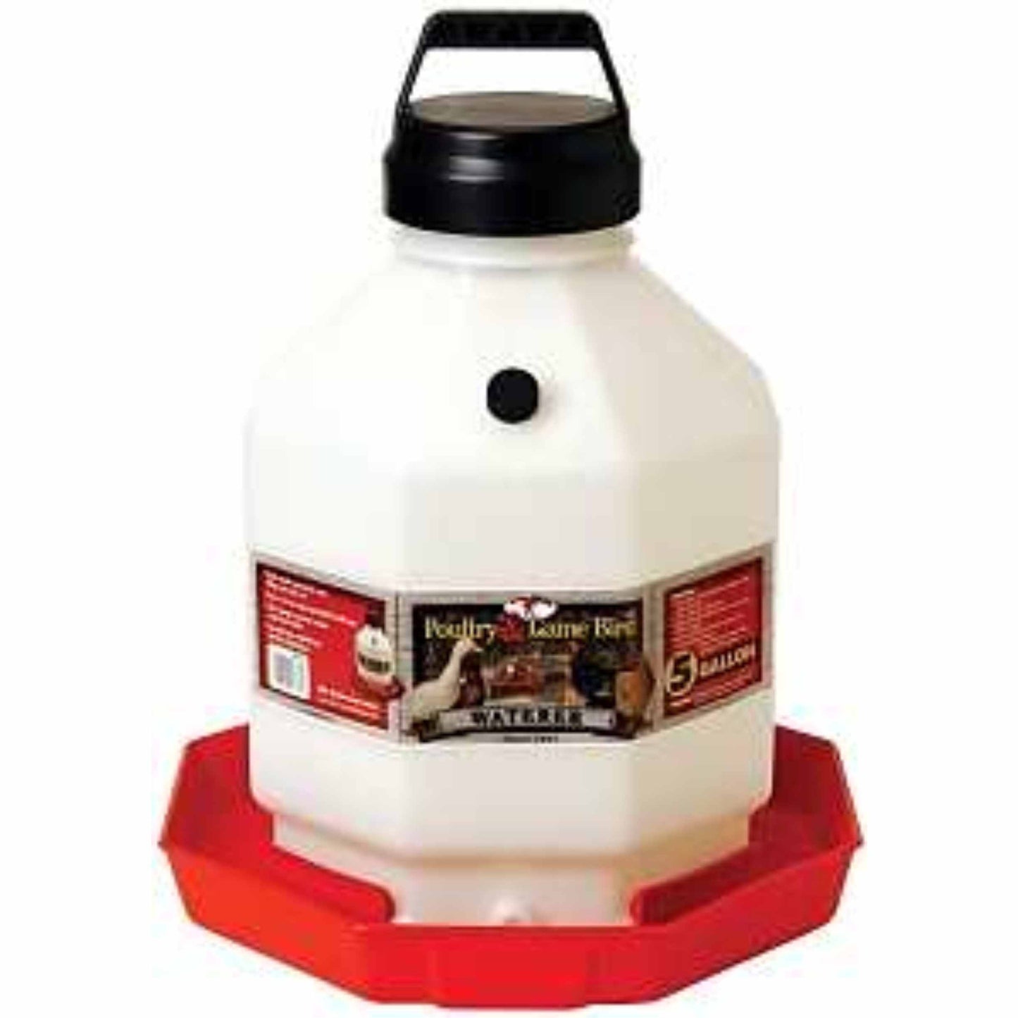 5 Gallon Plastic Poultry Fount