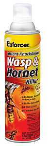Wasp & Hornet Instant Knockdown 16oz