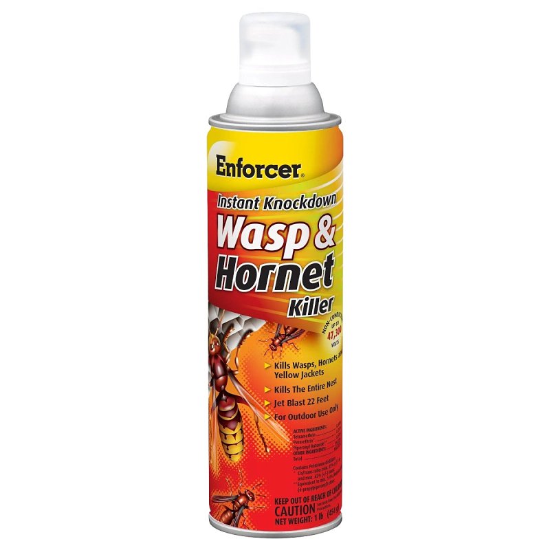 Wasp & Hornet Instant Knockdown 16oz