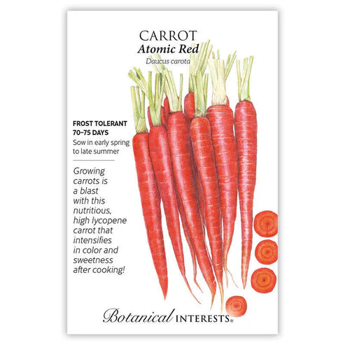 Seed BI Carrot Atomic Red