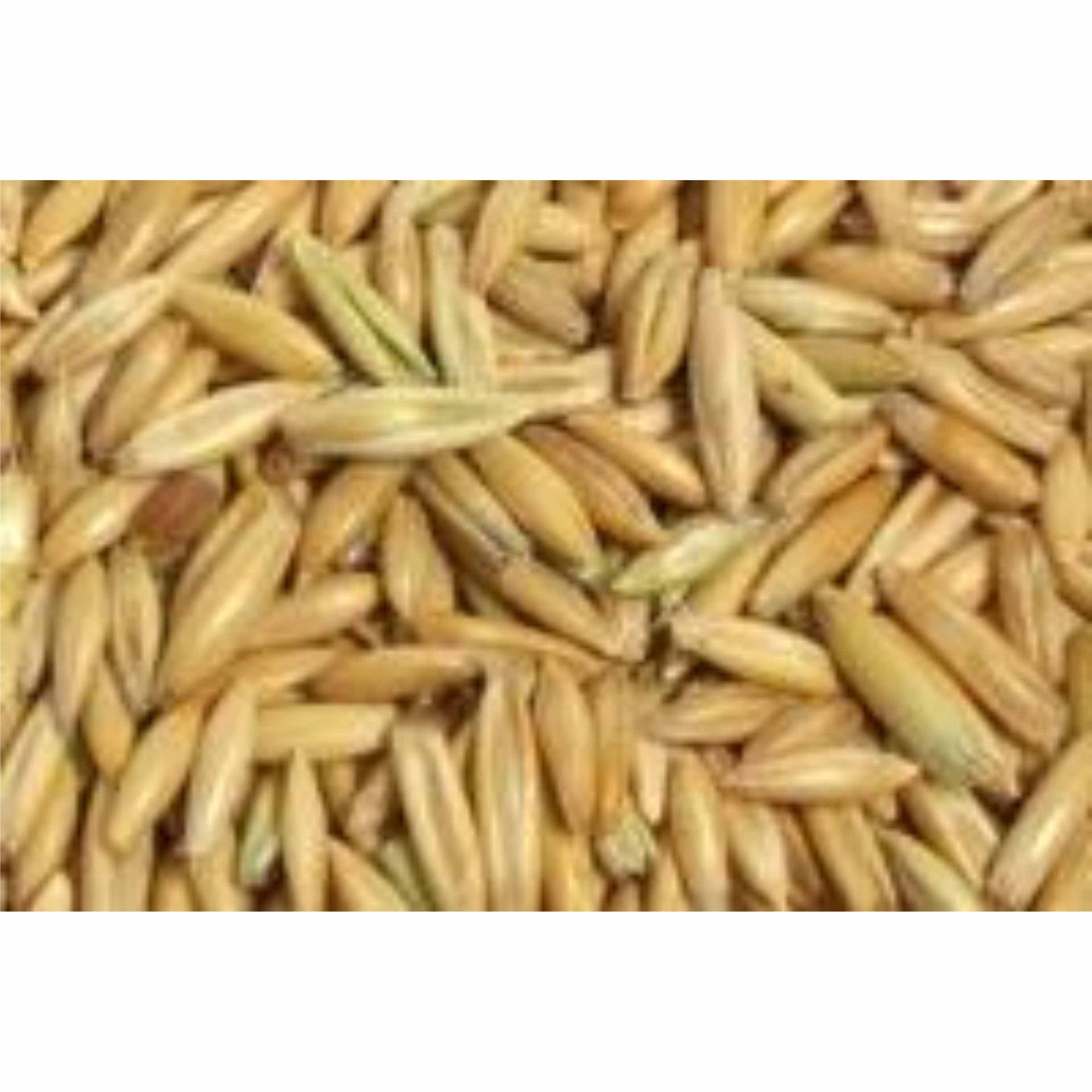 Whole Oats 50lb