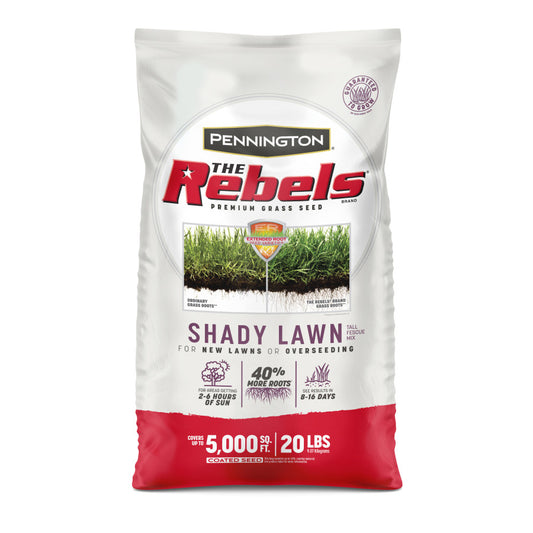Rebel Shady Lawn Fescue Blend Grass Seed 20lb
