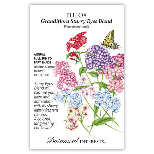 Seed BI Phlox Grandiflora Starry Eye