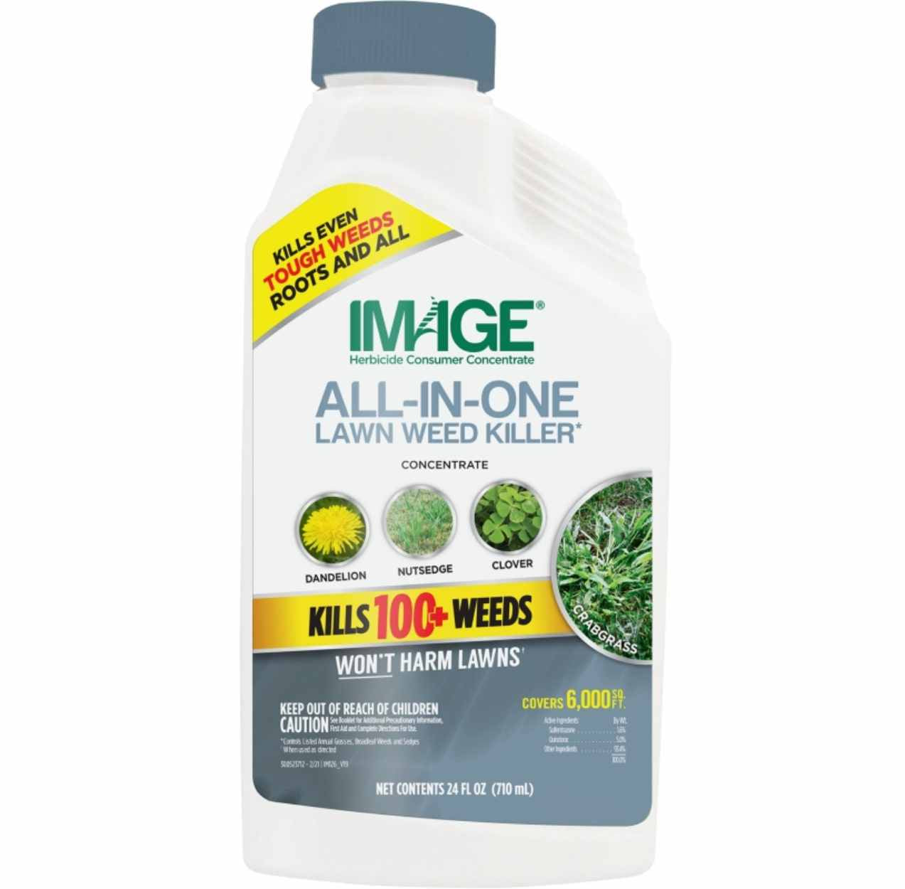 concentrate herbicides Image All-In-One 24 oz. Concentrate Lawn Weed Killer