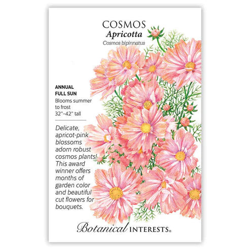Seed BI Cosmos Apricotta