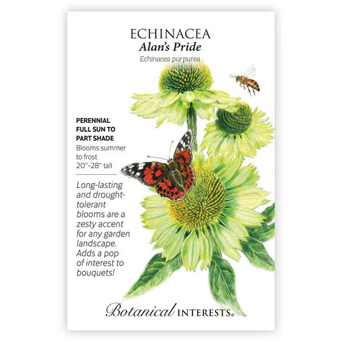 Seed BI Echinacea Alan's Pride
