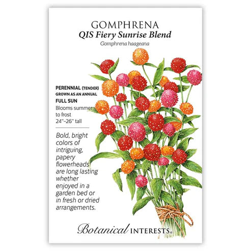 Seed BI Gomphrena QIS Fiery Sunrise Blend