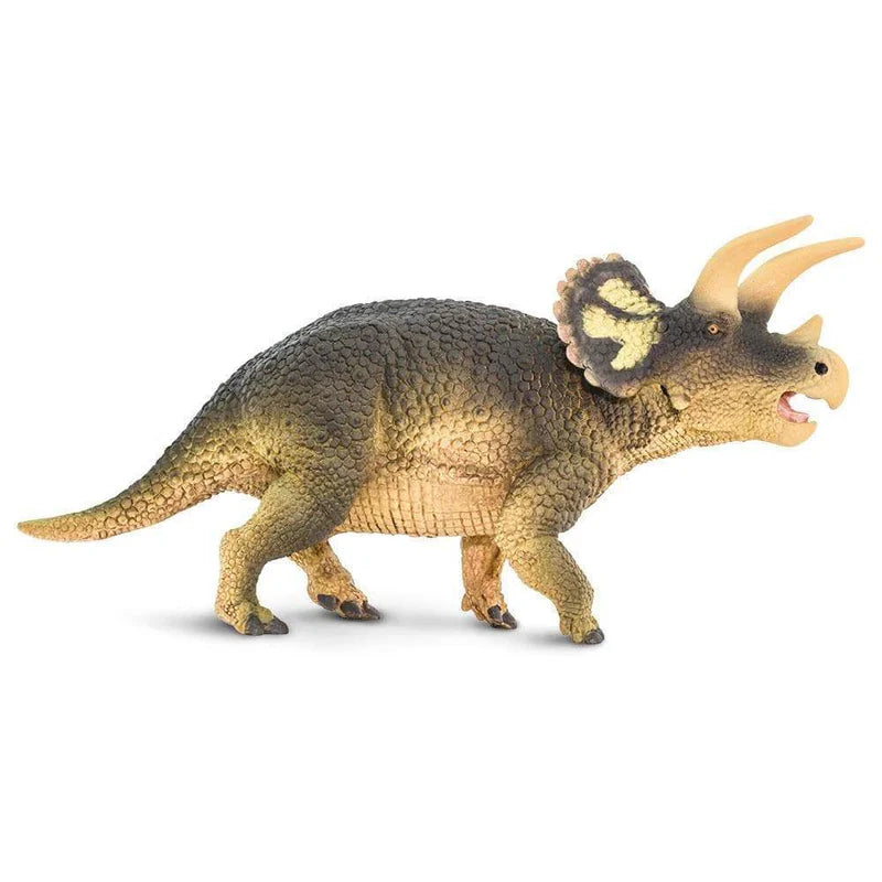 Safari Triceratops