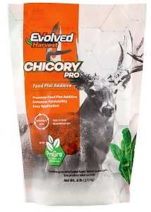 Chicory Pro Food Plot Additive .6 lb