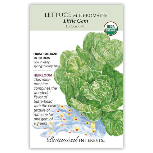 Seed BI Lettuce Romaine Little Gem Org