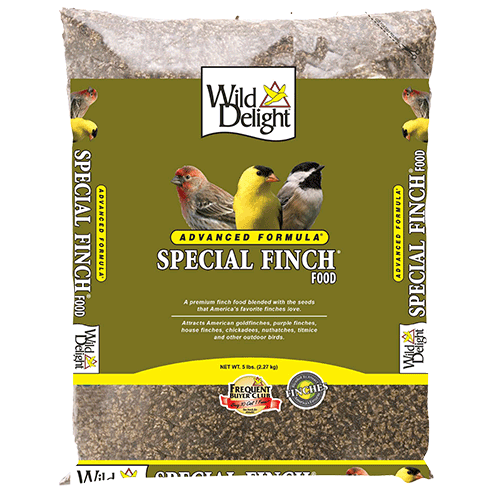 Wild Delight Special Finch