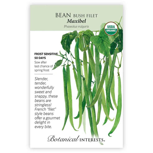 Seed BI Bean Bush Maxibel Org
