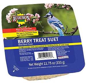 Suet Berry Treat