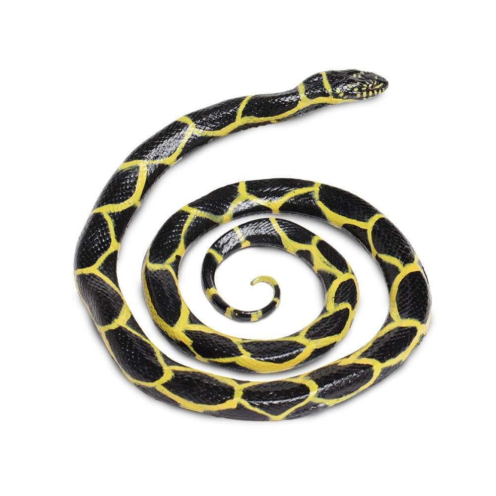 Safari Chain Kingsnake