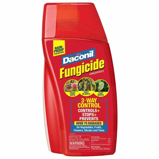 Daconil Fungicide Concentrate 16oz