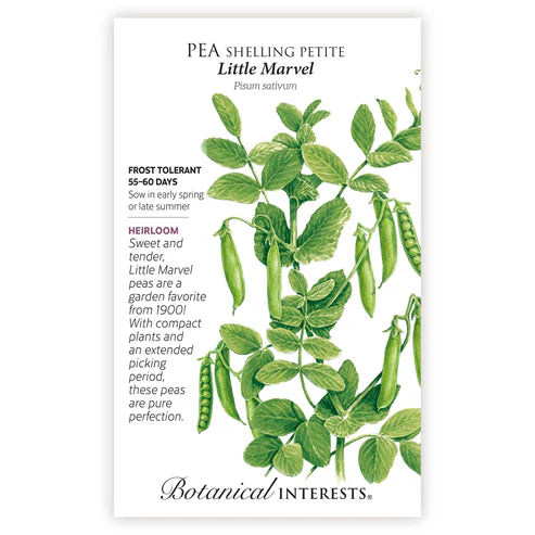 Seed BI Pea Shelling Petite Little Marvel