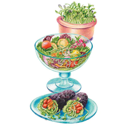 Seed BI Microgreens Sunflower Org