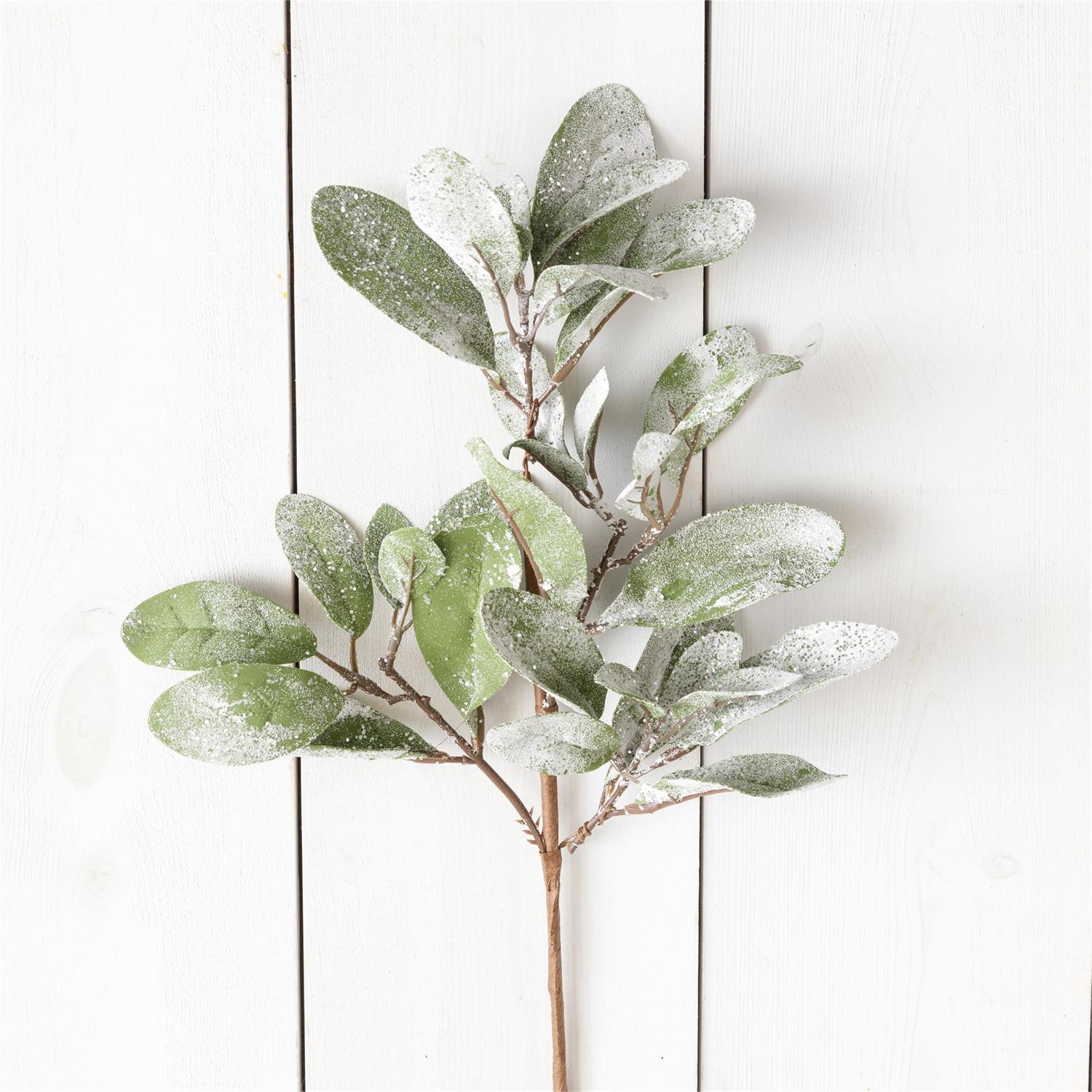 Frosted Lamb's Ear Pick