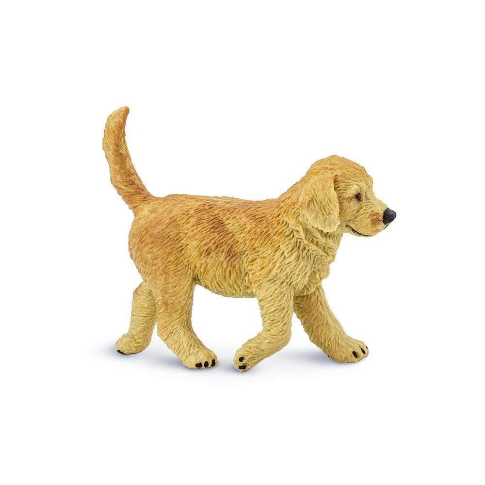 Safari Golden Retriever Puppy