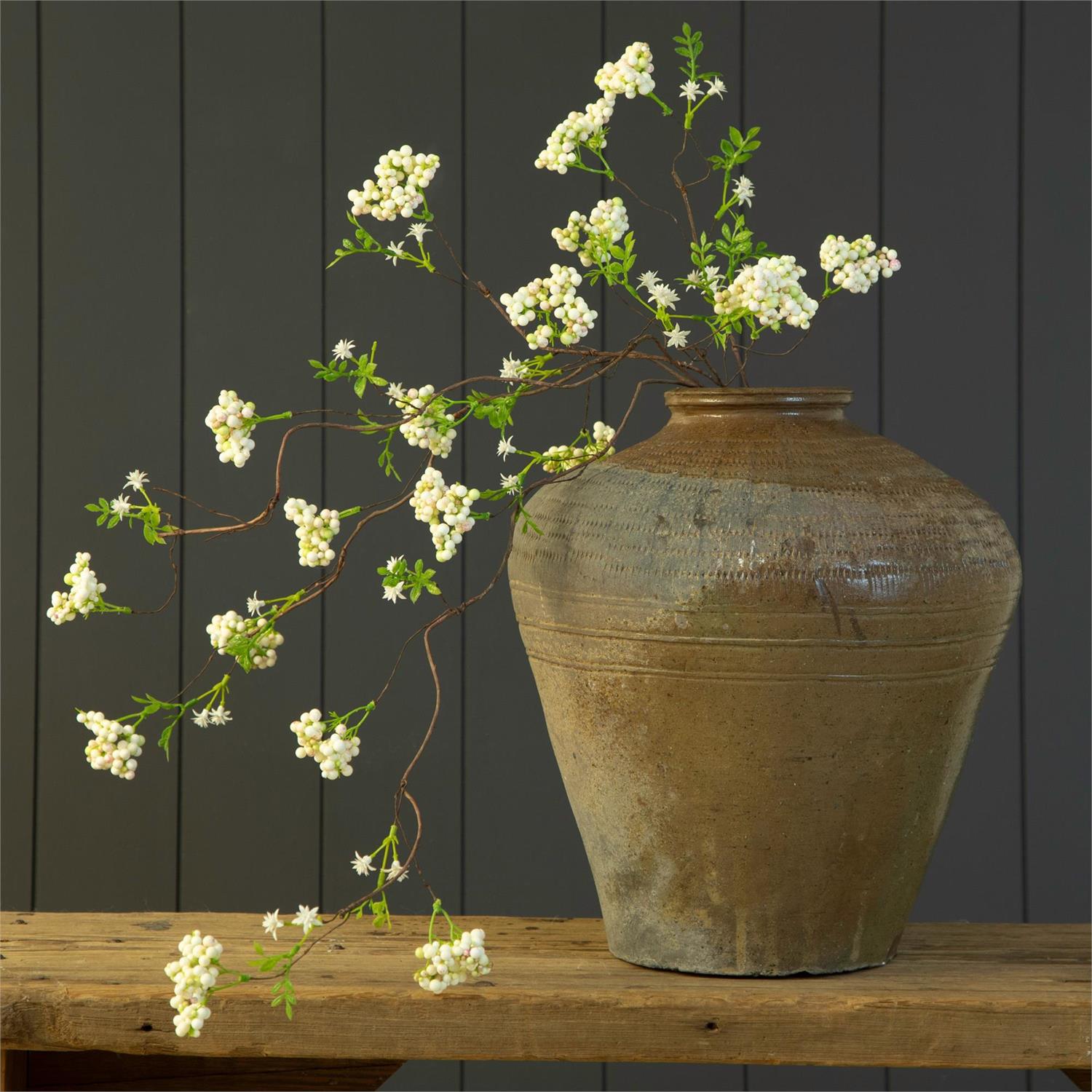 Branch - Arabian Jasmine