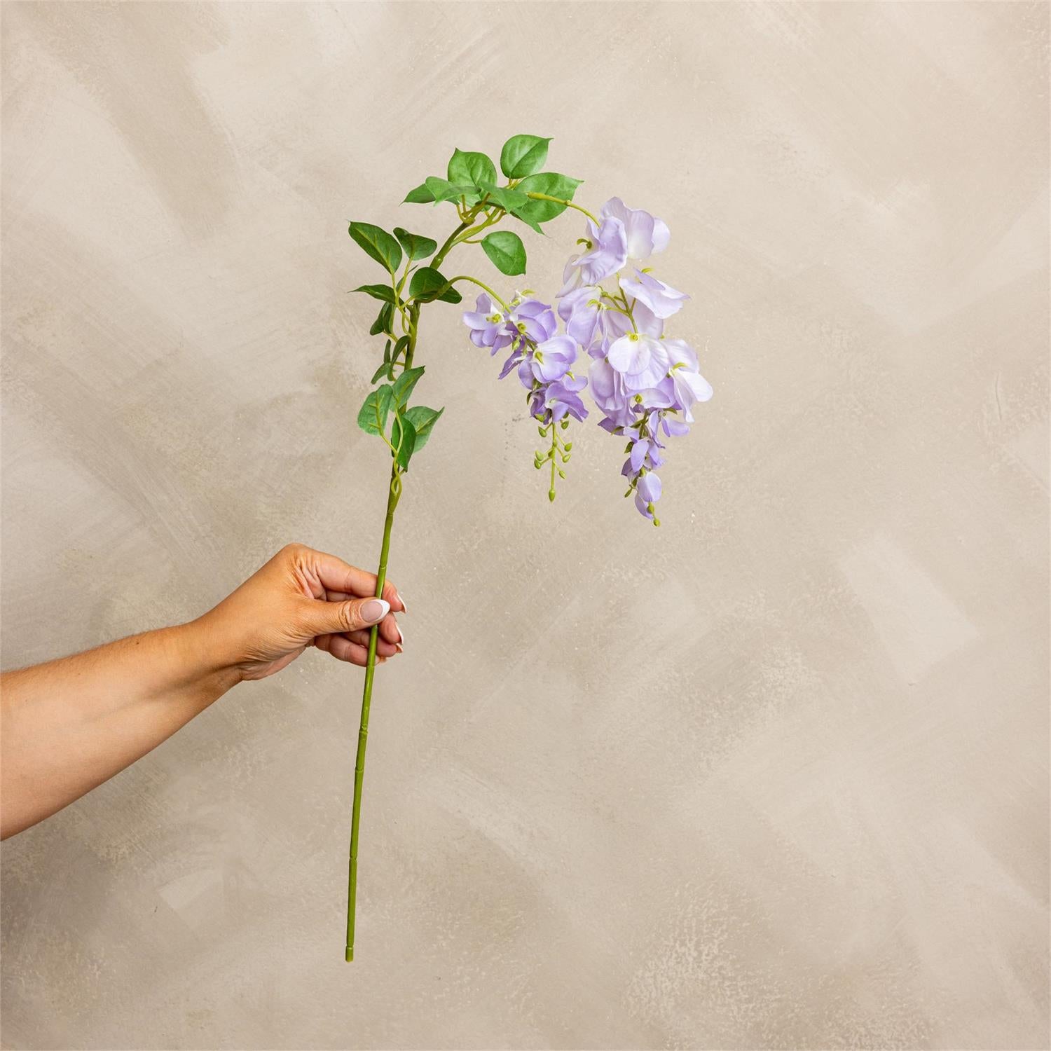 Spray - Wisteria Lavender