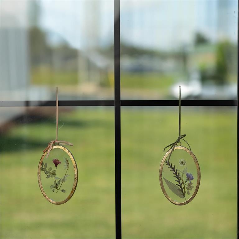 Wall Art - Pressed Floral, Gold Oval Frames