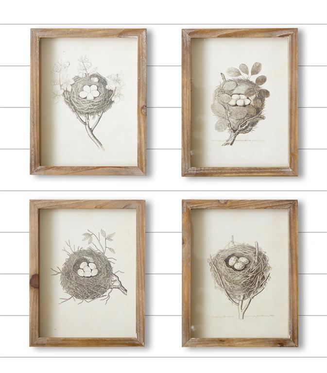Framed Prints - Nests