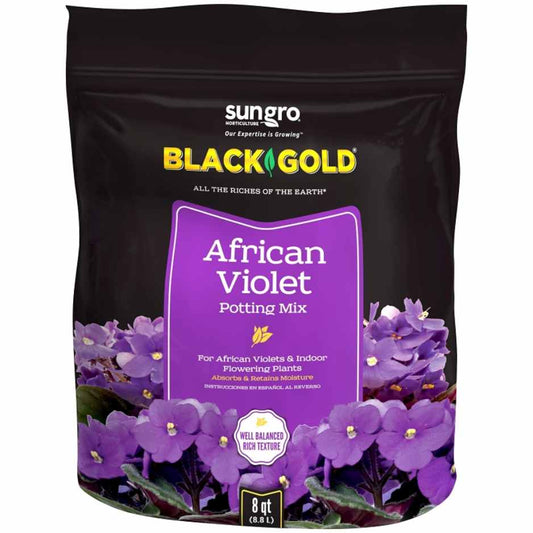 African Violet Mix Black Gold 8qt