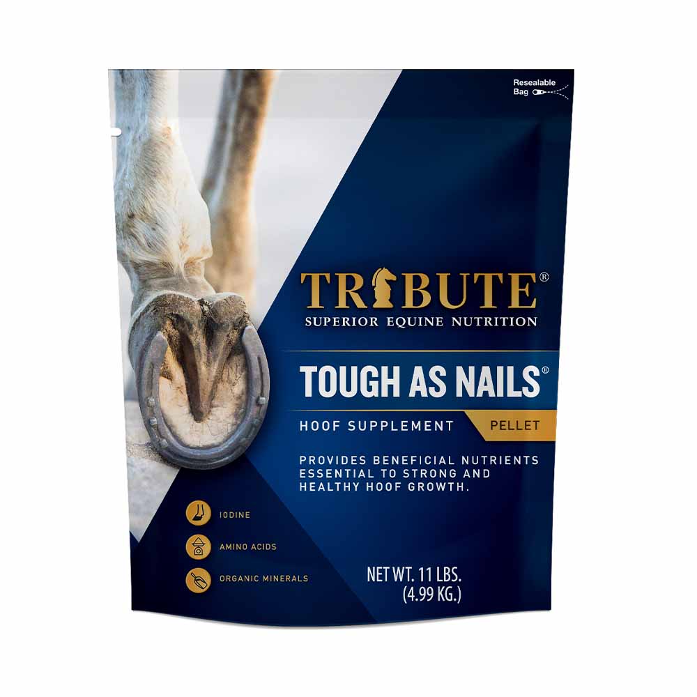 Tribute Tough As Nails 11lbs