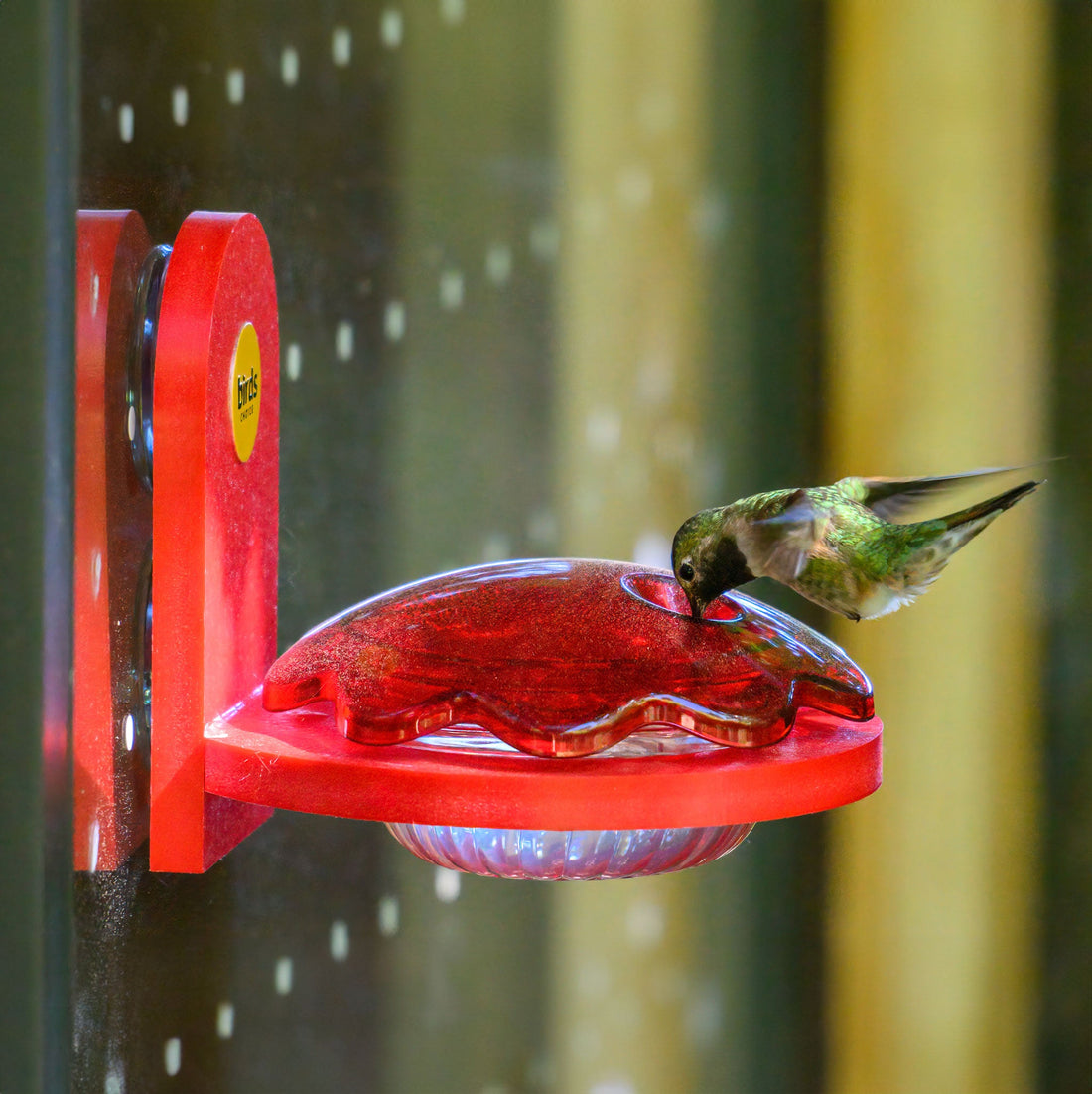 Recycled Plastic Hummingbird Feeder