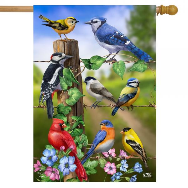 House Flag Country Birds