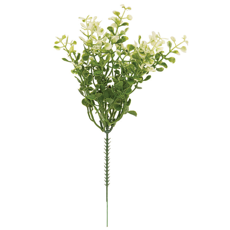 Cream Tipped Baby's Grass Pick - 9"