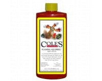 Cole's Flaming Squirrel 16oz