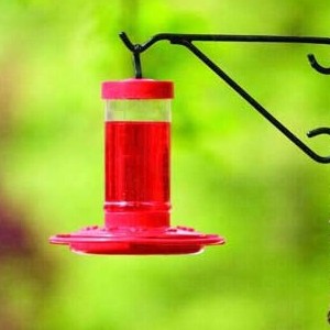 First Nature 16oz Hummingbird Feeder