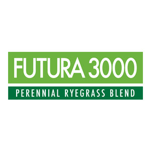 Perennial Rye Grass Seed 50lb