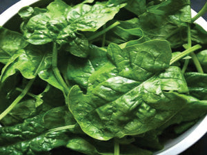 G-S Spinach Bloomsdale 1oz