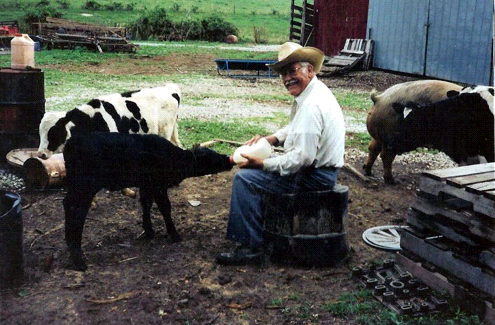 Burton Ingram bottle feeding a calf in the barnyard where The Feed Store began.