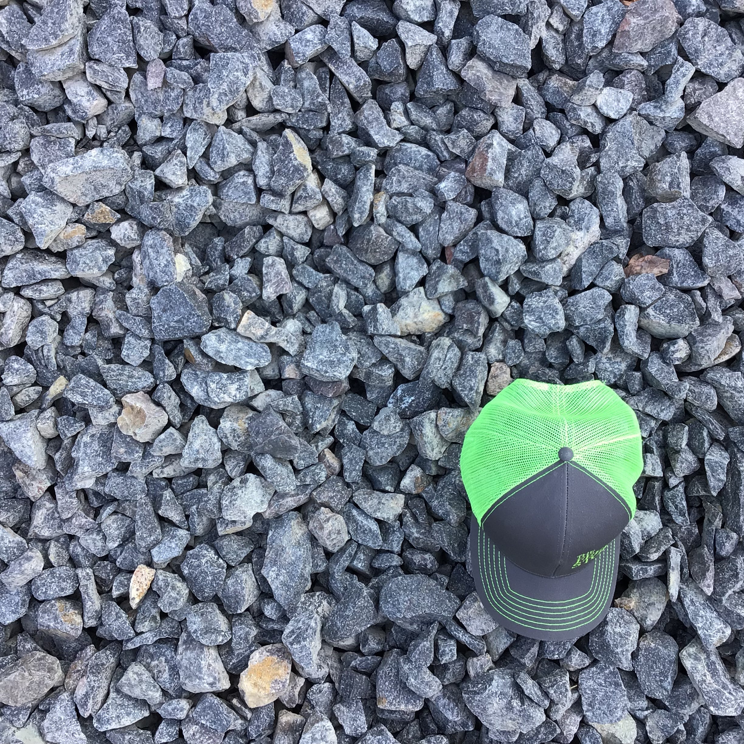 Black Mountain Trap (Lg) (2.5") Bulk - Bin J