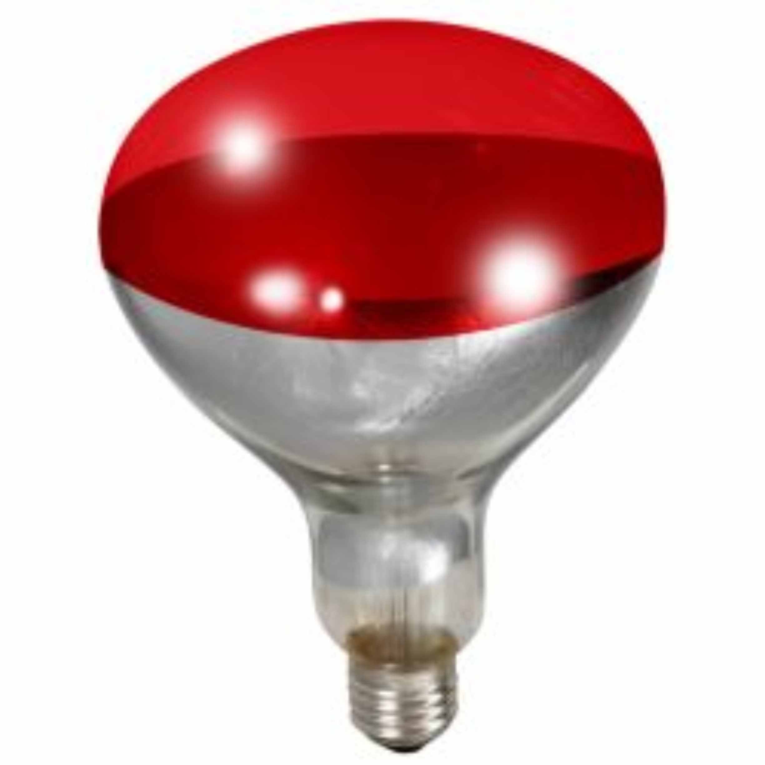 Heat Lamp Bulb 250W Red