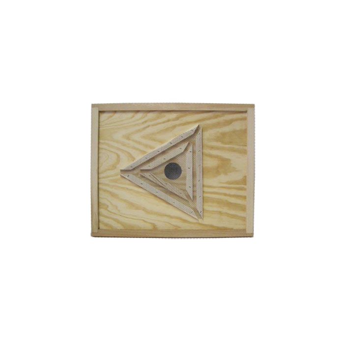 Bee Escape 10 Frame