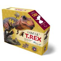 Puzzle I Am Lil T Rex