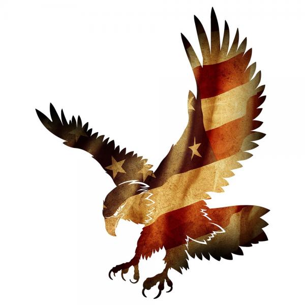 Patriotic Eagle Metal Wall Art