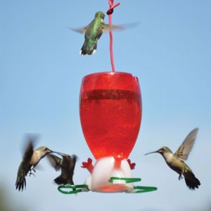 Big Red Hummingbird Feeder