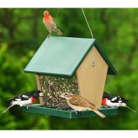 Recycled Plastic Large Hopper Feeder Hunterdriftwood