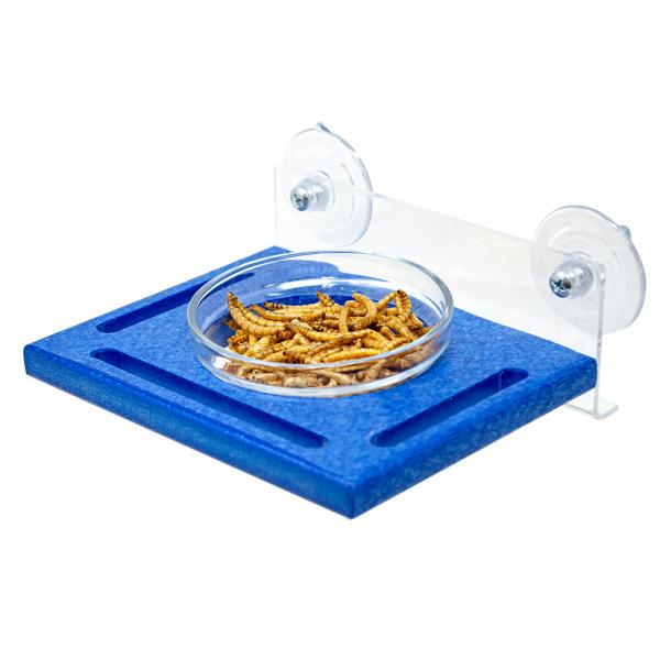 Blue Window Mealworm Feeder