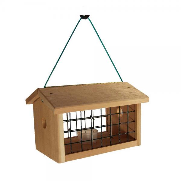 Bluebird Jail Feeder