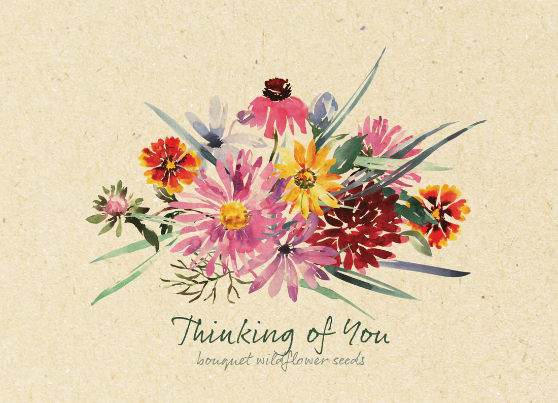 Bentley Seed Thinking of You Bouquet - Wildflower Mix
