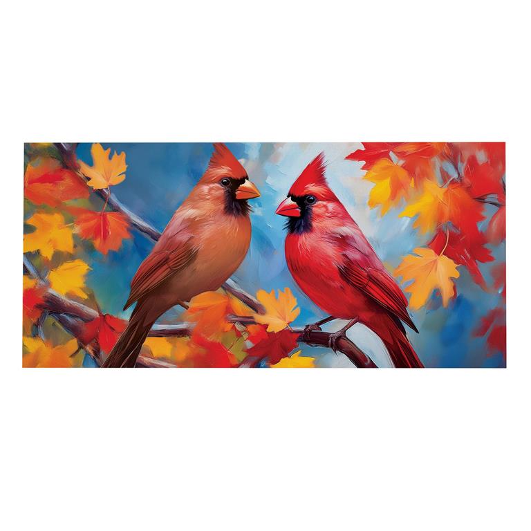 Switch Mat Colorful Cardinal