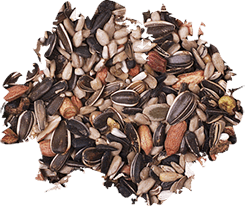 Wild Delight Nut N' Berry